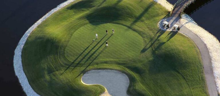 area-7-golf